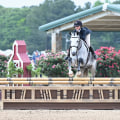 The Prestigious Horse Shows in Currituck County, North Carolina: A Celebration of Equestrian Excellence