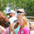 Maximizing Your Presence as a Vendor at Horse Shows in Currituck County, North Carolina