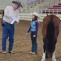The Ultimate Guide to Registering Your Horse for a Show in Currituck County, North Carolina