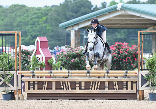 The Prestigious Horse Shows in Currituck County, North Carolina: A Celebration of Equestrian Excellence
