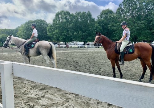 The Art of Judging Horse Shows in Currituck County, North Carolina