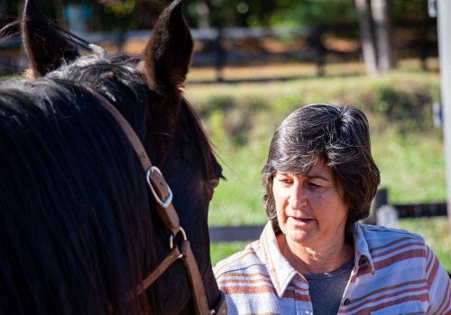 The Ultimate Guide to Accommodations for Horse Shows in Currituck County, North Carolina
