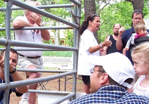 The Joy of Volunteering at Horse Shows in Currituck County, North Carolina