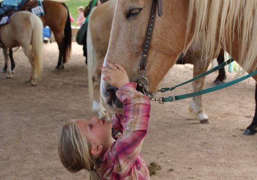 Horse Shows for Kids in Currituck County, North Carolina